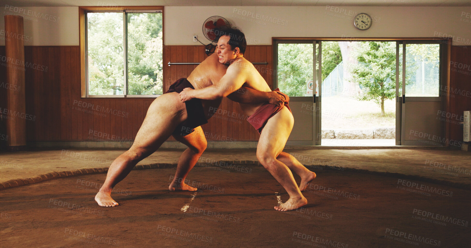 Buy stock photo Combat, fitness or Sumo wrestling with men in dohyo for Japanese competition, culture or tournament. Exercise, fighting or training with wrestler and rival in ring of arena for exhibition match