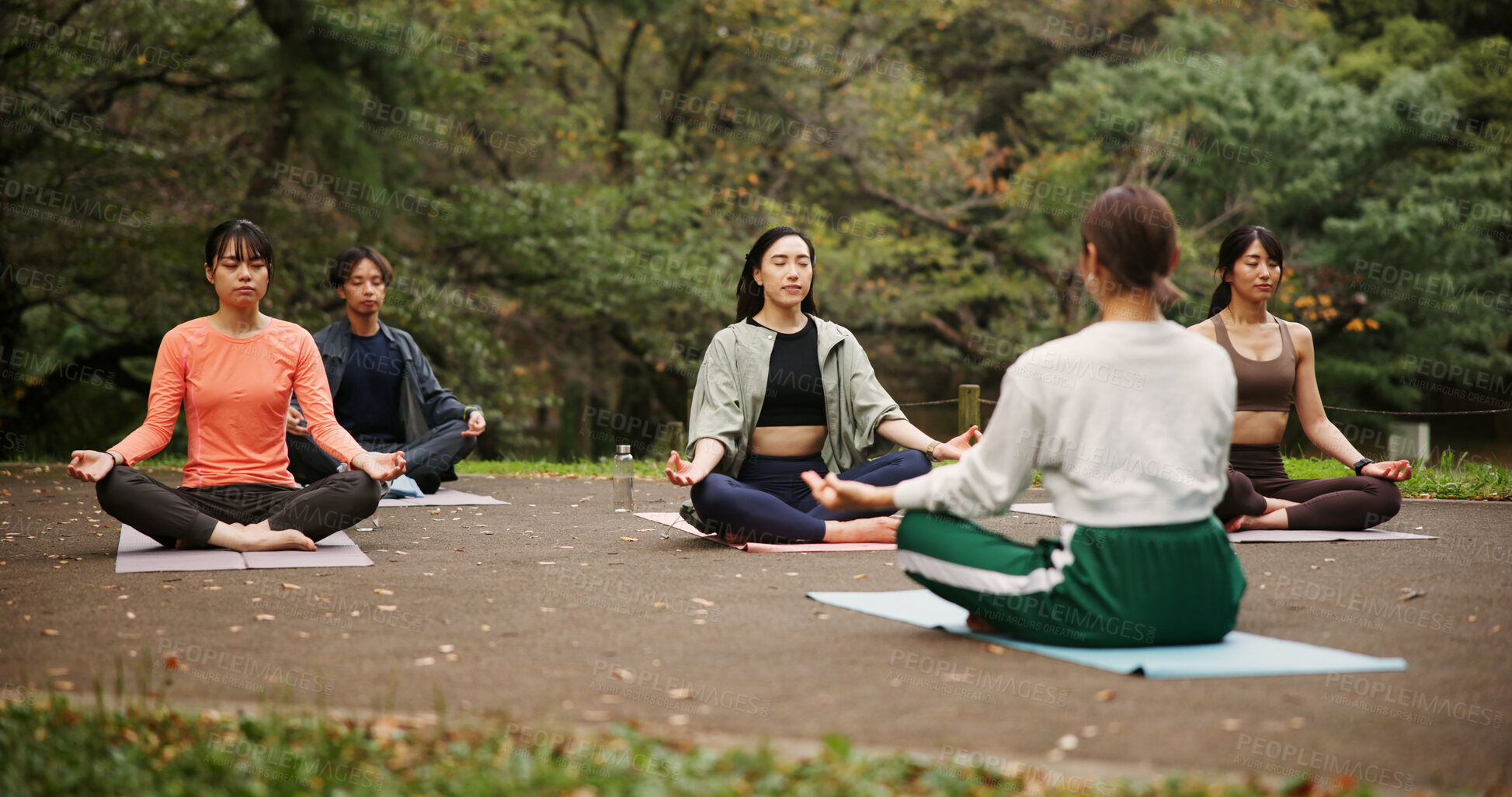 Buy stock photo People, outdoor nature and lotus at yoga class, meditation and support women for spiritual wellness. Forest, holistic healing and instructor for fitness in Japan, friends group and zen mindfulness