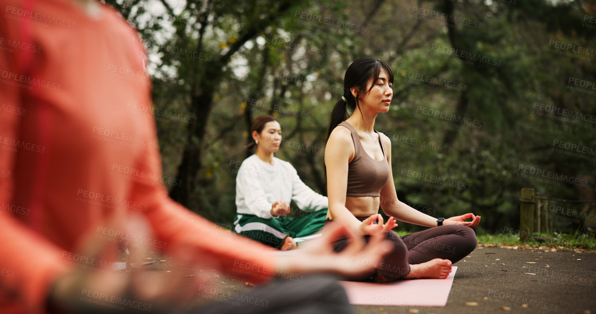 Buy stock photo People, outdoor fitness and lotus at yoga class, meditation and support women for spiritual wellness. Forest, holistic healing and instructor for peace in Japan, friends group and zen mindfulness