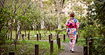 Back, Kimono and travel with woman in park to explore green location for sightseeing or tourism. Fashion, nature conservation and walking with person outdoor in Japan for culture, holiday or vacation