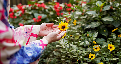 Buy stock photo Woman, hands and flower with kimono, nature and travel for journey and natural sustainability. Japanese person, cultural fashion and leaves or bushes with park, garden and outdoor walk for relaxation