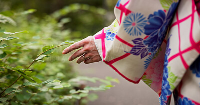 Buy stock photo Woman, hands and leaves with kimono, nature and travel for journey and natural sustainability. Japanese person, cultural fashion and plants or bushes with park, garden and outdoor walk for relaxation