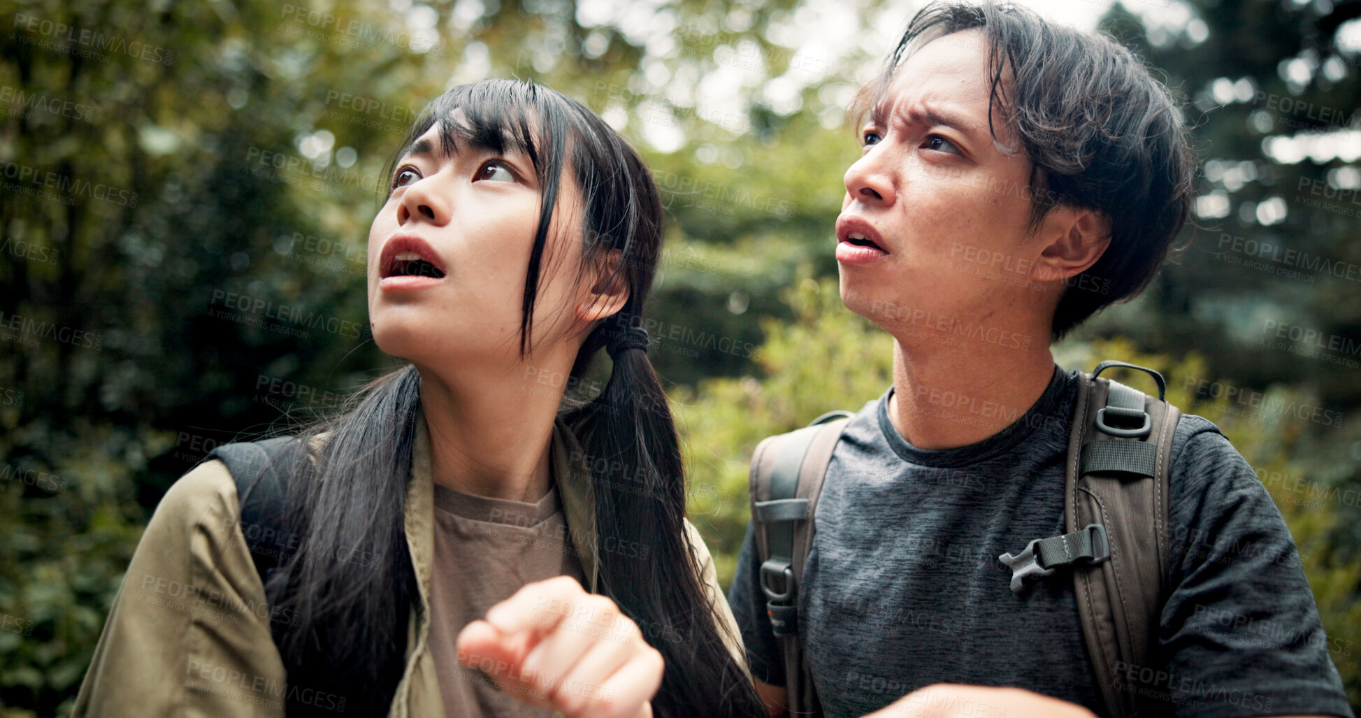 Buy stock photo Nature, hiking and confused couple in forest for outdoor holiday adventure together on Mount Takao. Trekking, Japanese man and woman lost in mountain park with pointing, direction and search in woods