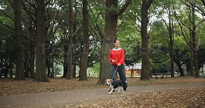 Buy stock photo Park, woman and smile with walking dog for exercise, health and bonding in Japan. Outdoor, forest and person as pet owner with animal for friendship, love and care with happiness for adoption