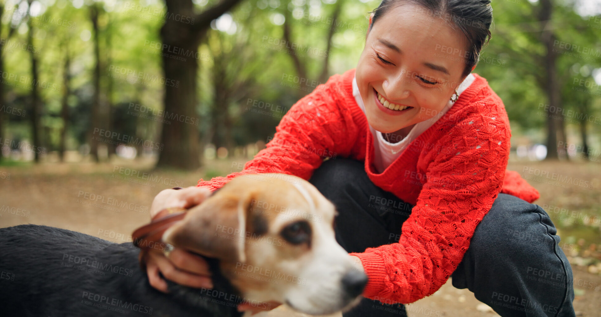 Buy stock photo Nature, happy and woman with dog in forest for bonding, companion and love for adoption. Smile, connection and Japanese female person with beagle puppy for pet outdoor in woods for playing together.