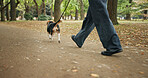 Park, legs and person with walking dog for exercise, health and bonding in Japan. Outdoor, forest and closeup as pet owner with animal for friendship, love and care with trust for adoption or loyalty