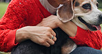 Hands, person and hug dog at park with love, bonding affection as pet owner in `Japan. Outdoor, garden and closeup of animal for adoption or loyalty with kindness, peace and friendship or trust