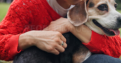 Buy stock photo Hands, person and hug dog at park with love, bonding affection as pet owner in `Japan. Outdoor, garden and closeup of animal for adoption or loyalty with kindness, peace and friendship or trust