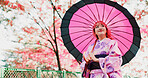 Cherry blossom, park and woman with kimono, umbrella or sightseeing on outdoor adventure. Fashion, spring and happy Japanese girl walking with traditional clothes, parasol or culture in sakura garden