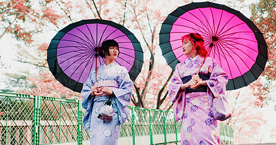 Buy stock photo Cherry blossom, friends and girl with kimono, umbrella and sightseeing on outdoor adventure together. Culture, spring and Japanese women walking with traditional clothes, parasol and sakura garden