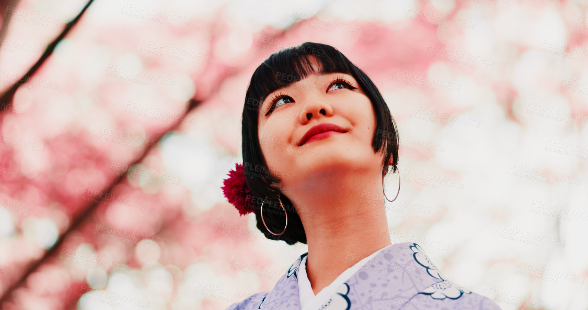 Buy stock photo Cherry blossom, park and face of girl with kimono, thinking or outdoor sightseeing in nature with low angle. Culture, inspiration and Japanese woman in spring garden for traditional sakura festival