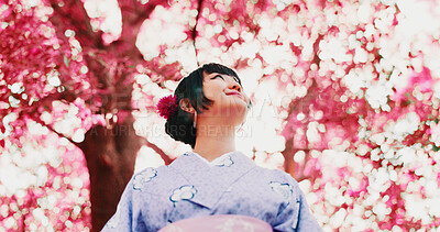 Buy stock photo Sakura, park and face of woman with kimono, thinking or outdoor sightseeing in nature with low angle. Culture, inspiration and Japanese girl in spring garden for traditional cherry blossom festival