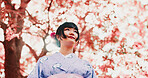 Cherry blossom, park and woman in kimono, trees and thinking with outdoor sightseeing in nature in low angle. Culture, inspiration and Japanese girl in spring garden for traditional sakura festival