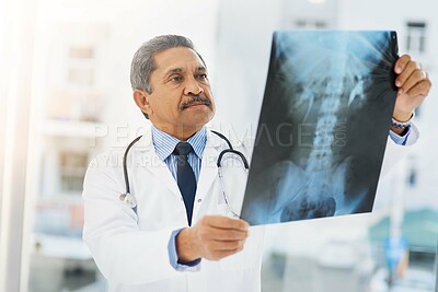 Buy stock photo Shot of a mature doctor looking at an x ray