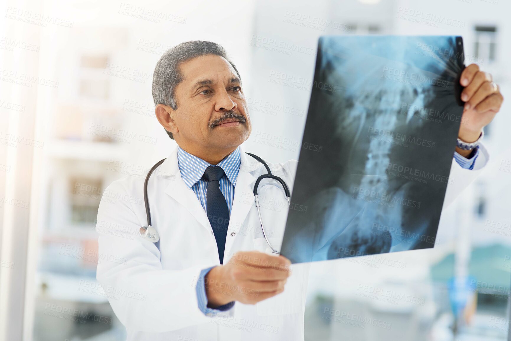 Buy stock photo Shot of a mature doctor looking at an x ray