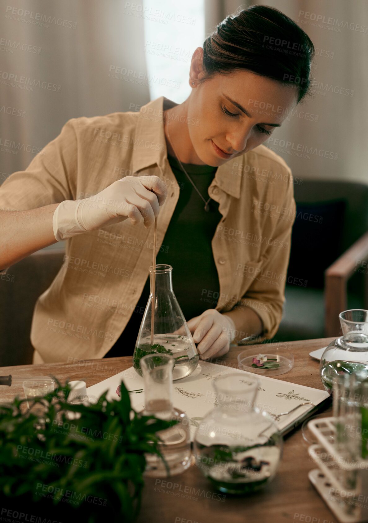 Buy stock photo Woman, agriculture and glass with plants for research in home, plant analysis or growth check for ecology. Female person, beaker and document for review in house, herbs and leaves for sustainability