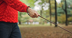 Forest, walk and hand of person with leash for outdoor adventure with pet, trees and guide in Japan. Nature, woods and animal walker in park with lead for morning exercise, fresh air and direction