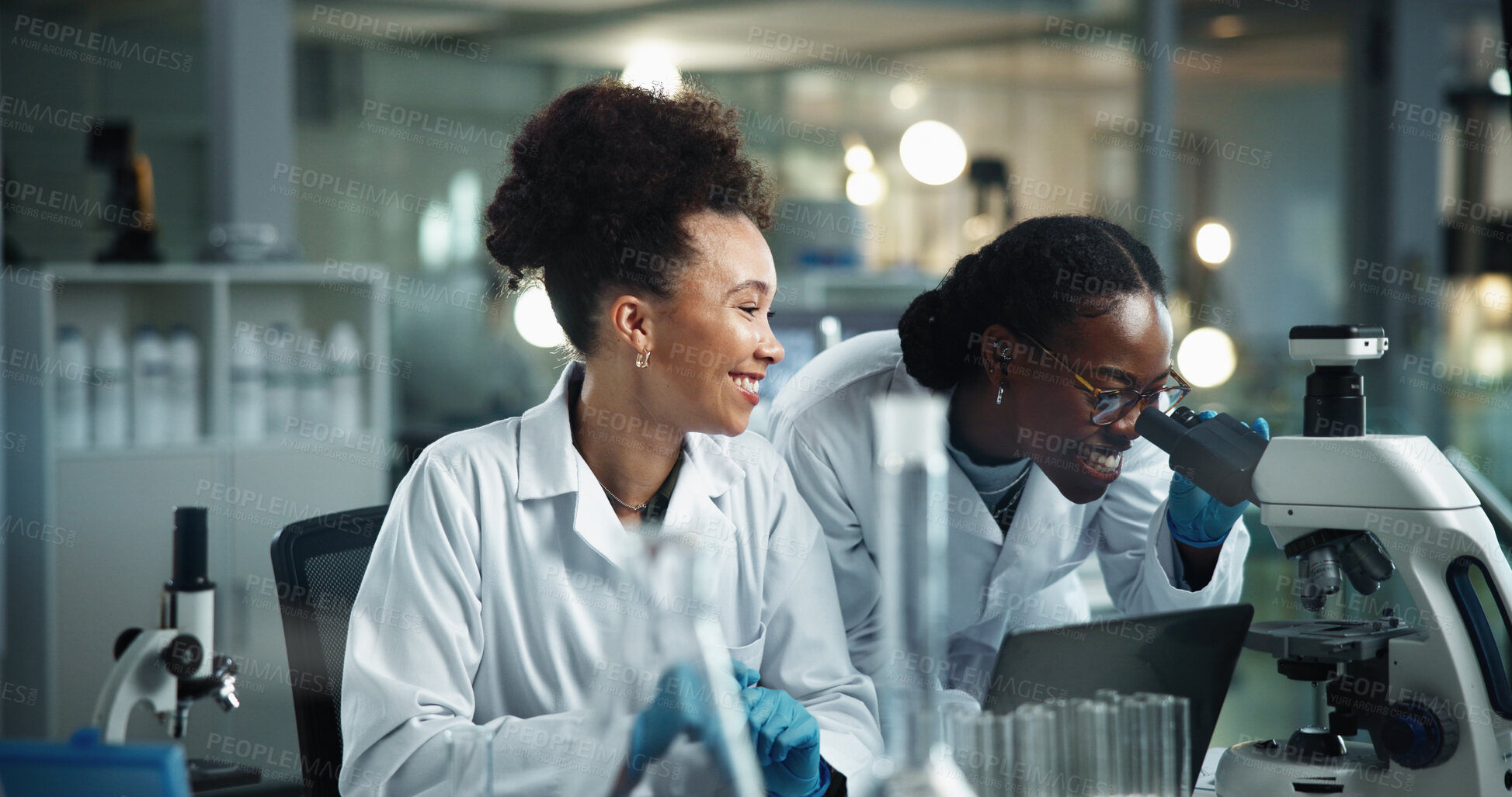 Buy stock photo Happy women, microscope and science team research in lab for experiment, analysis and biotechnology. Scientist, collaboration and microbiology test for medical development, healthcare or pharma study