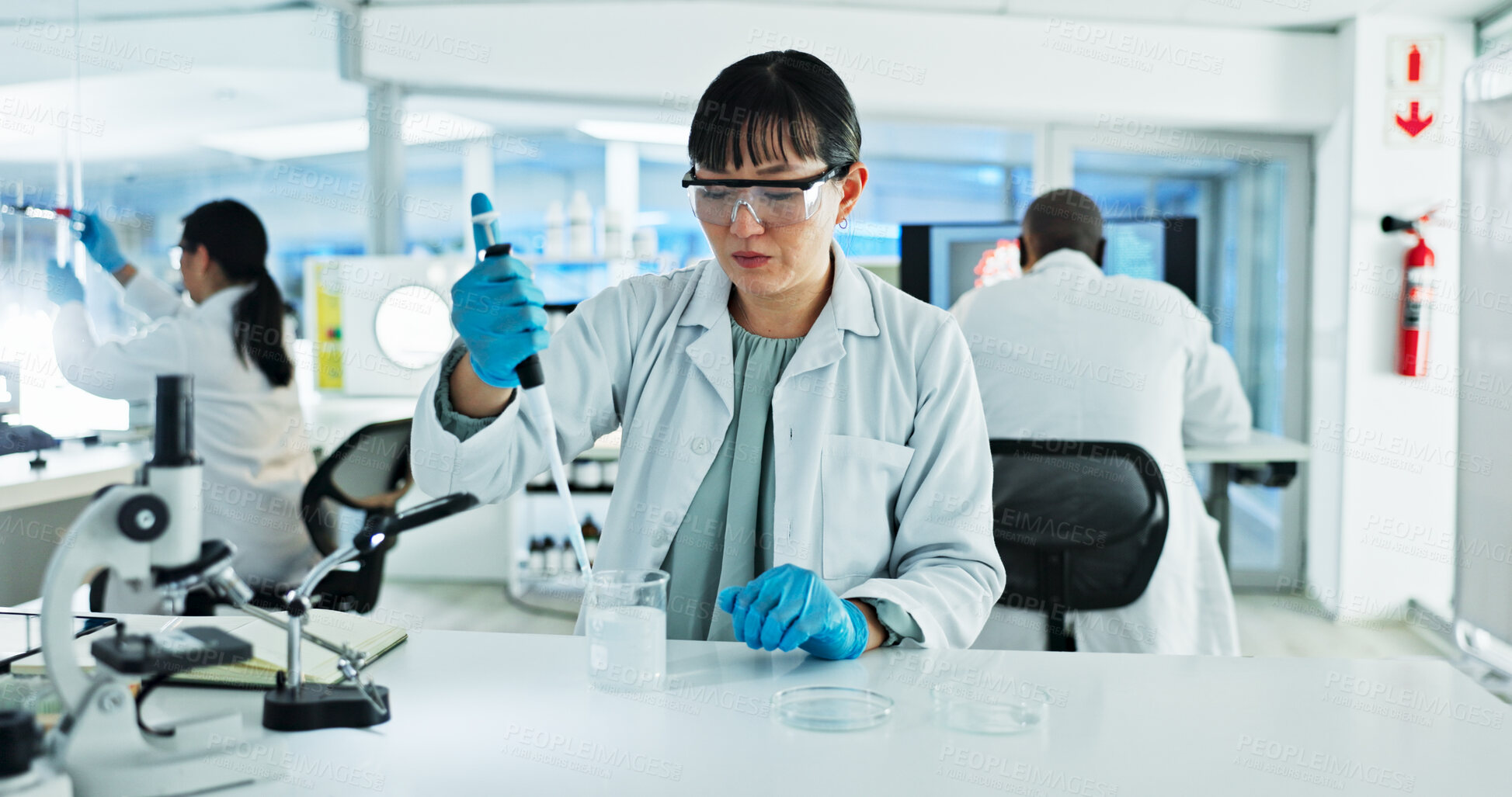Buy stock photo Scientist, woman and solution with pipette, petri dish and sample preparation in biotech laboratory. Biochemistry, bacteria and research with technician for DNA study, genetic innovation or results