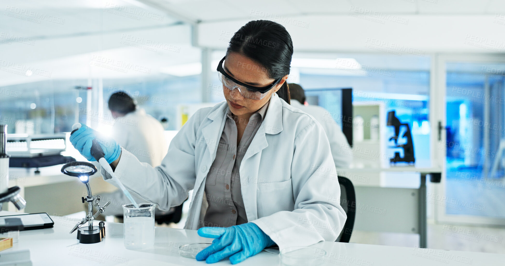 Buy stock photo Scientist, woman and liquid with pipette, petri dish and sample preparation in biotech laboratory. Biochemistry, bacteria and solution with technician for DNA study, genetic innovation or results