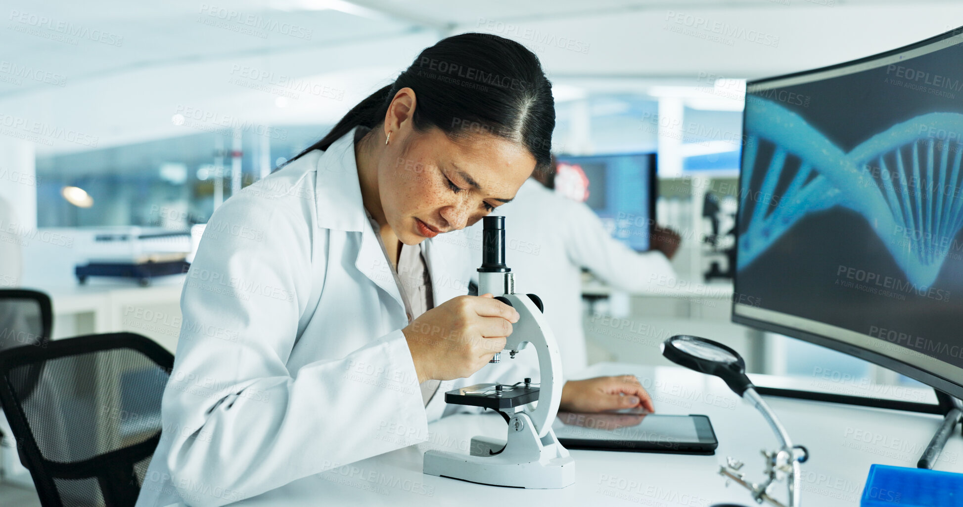 Buy stock photo Woman, scientist and microscope at laboratory with dna sequence for medical or scientific study. Female person, employee and serious with analyzing or test bacteria, virus and clinical experiment