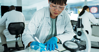 Buy stock photo Scientist, woman and notebook for research, notes and experiment results or medical information. Writing, update and laboratory technician with documents for virus development or pathology test