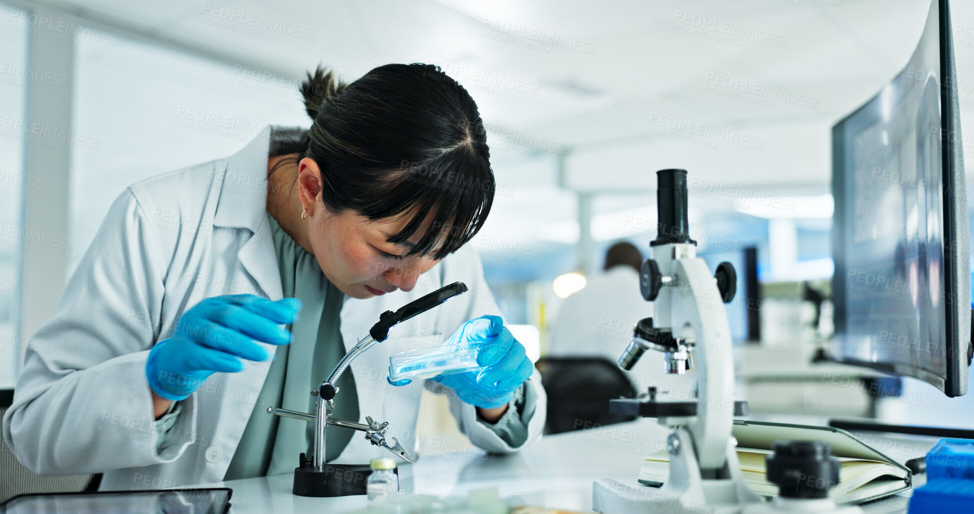 Buy stock photo Scientist, woman and research with magnifying glass, petri dish and sample preparation in laboratory. Biochemistry, bacteria and solution with technician for DNA study, genetic innovation or results