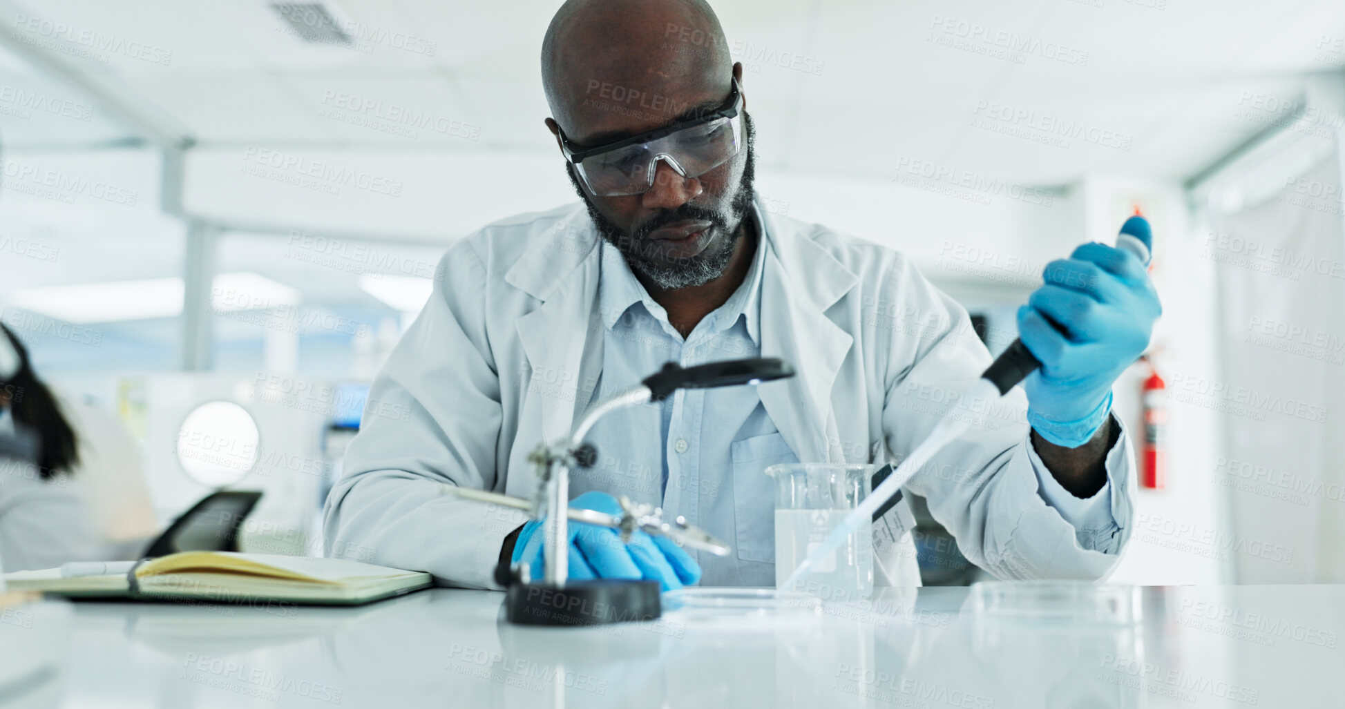 Buy stock photo Scientist, man and research with pipette, petri dish and sample preparation in biotech laboratory. Biochemistry, bacteria and solution with technician for DNA study, genetic innovation or results