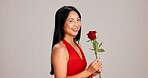 Woman, studio background and happy with rose on portrait for love, care and valentines day celebration in Japan. Japanese person, romance and smile in red dress with flower as anniversary gift 