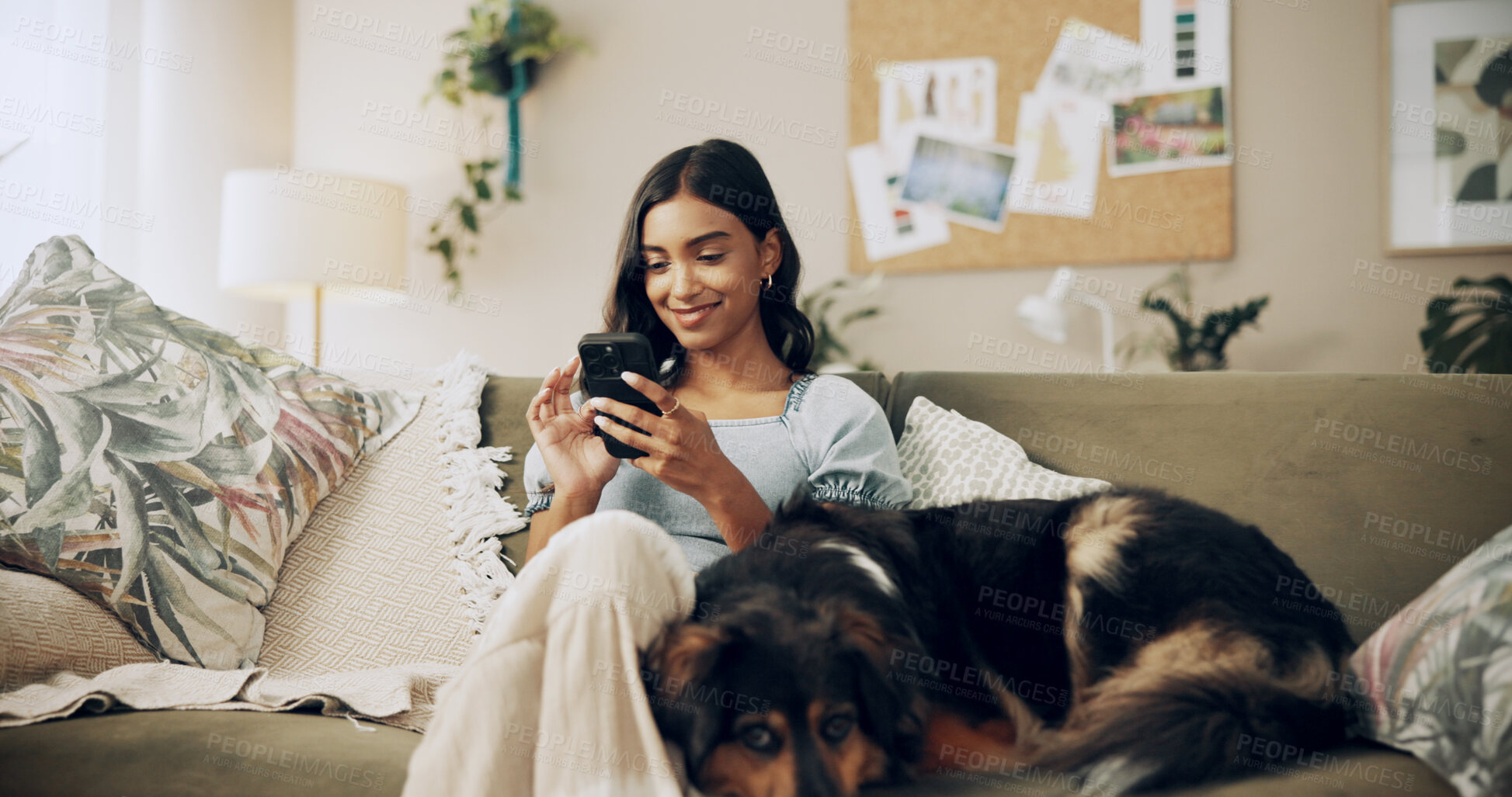 Buy stock photo Typing, dog and phone with woman on sofa for bonding, social media post and pet adoption. Happiness, scroll and animal rescue with person in living room at home for foster care, search and online app