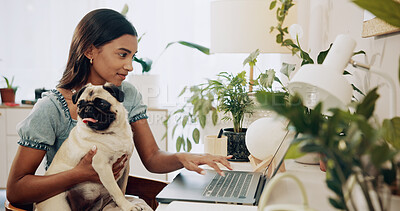 Buy stock photo Dog, freelancer and laptop with woman in home office for social media, communication and pet adoption blog. Research, animal rescue and website with person or remote worker for writer and online post