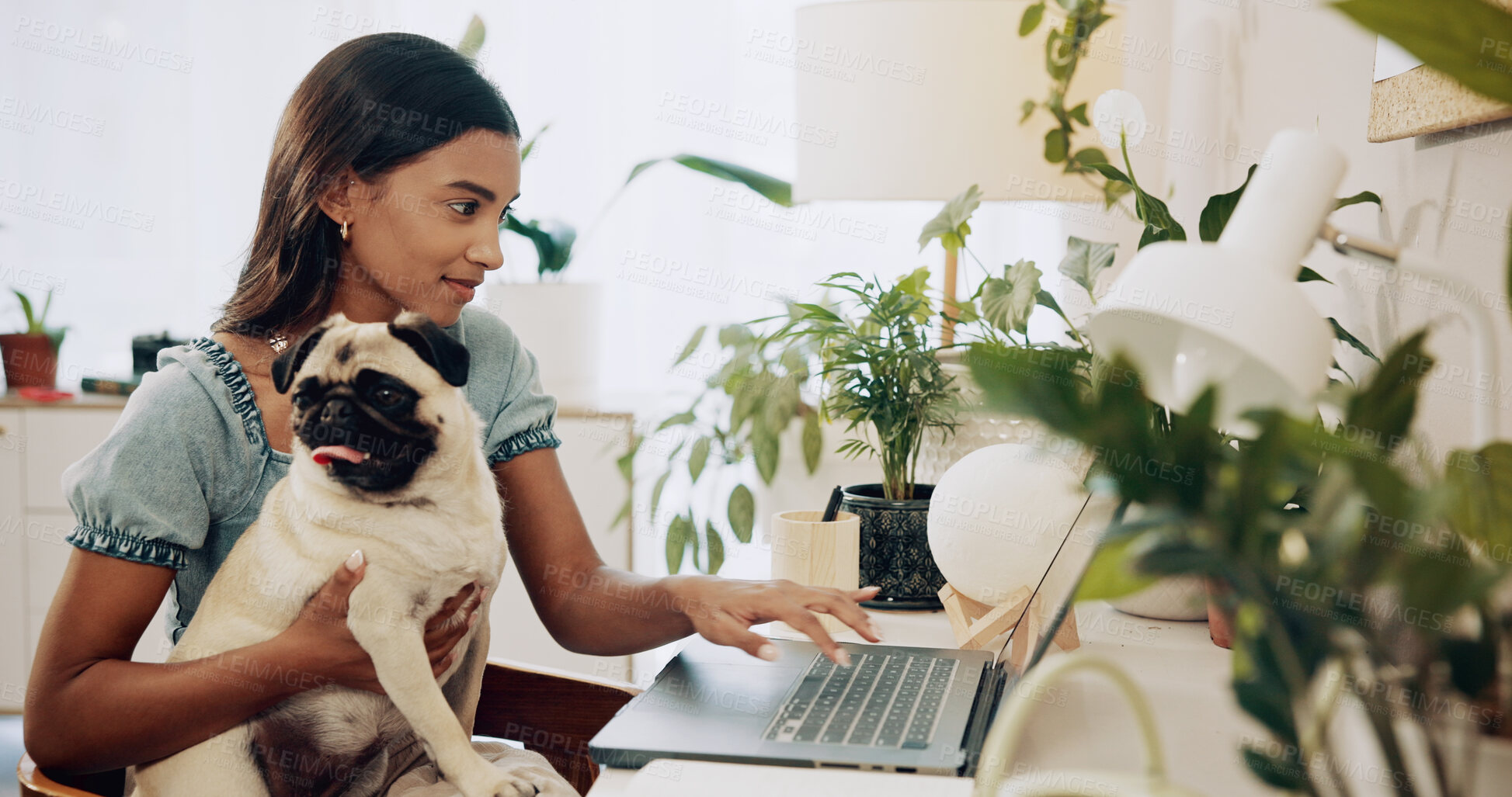 Buy stock photo Dog, freelancer and laptop with woman in home office for social media, communication and pet adoption blog. Research, animal rescue and website with person or remote worker for writer and online post