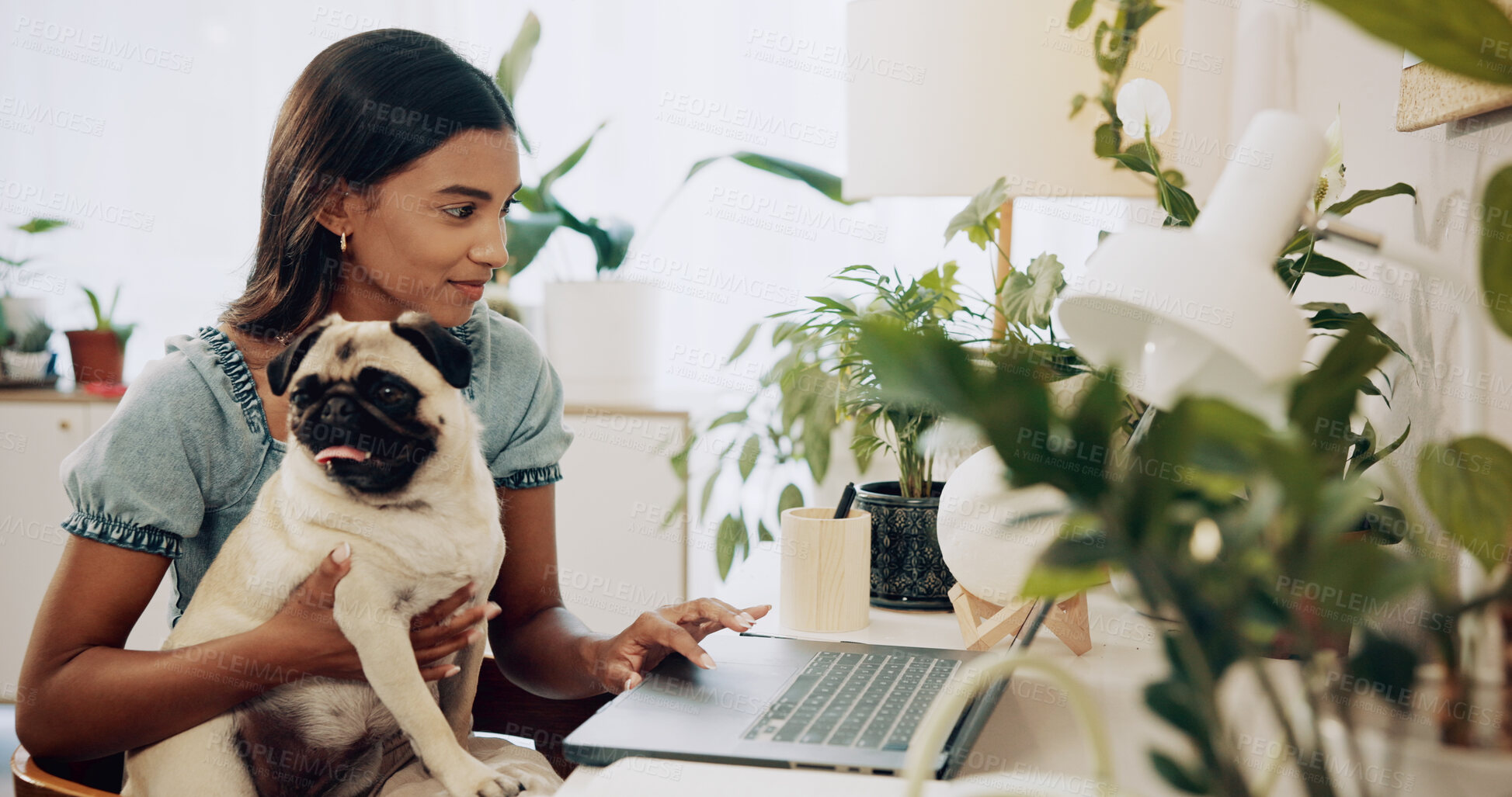 Buy stock photo Dog, typing and laptop with woman in home office for social media, communication and pet adoption blog. Research, animal rescue and website with person or remote worker for writer and online post