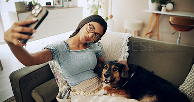 Buy stock photo Relax, dog and selfie with woman on sofa for bonding, social media post and pet adoption. Photography, pout and animal rescue with person in living room at home for foster care, picture or online app