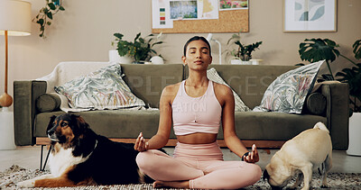 Buy stock photo Yoga, meditation or woman in house with dogs, lotus pose or chakra energy to relax in lounge. Spiritual wellness, Indian or yogi with calm peace, mindfulness or awareness with pug, pets or animals