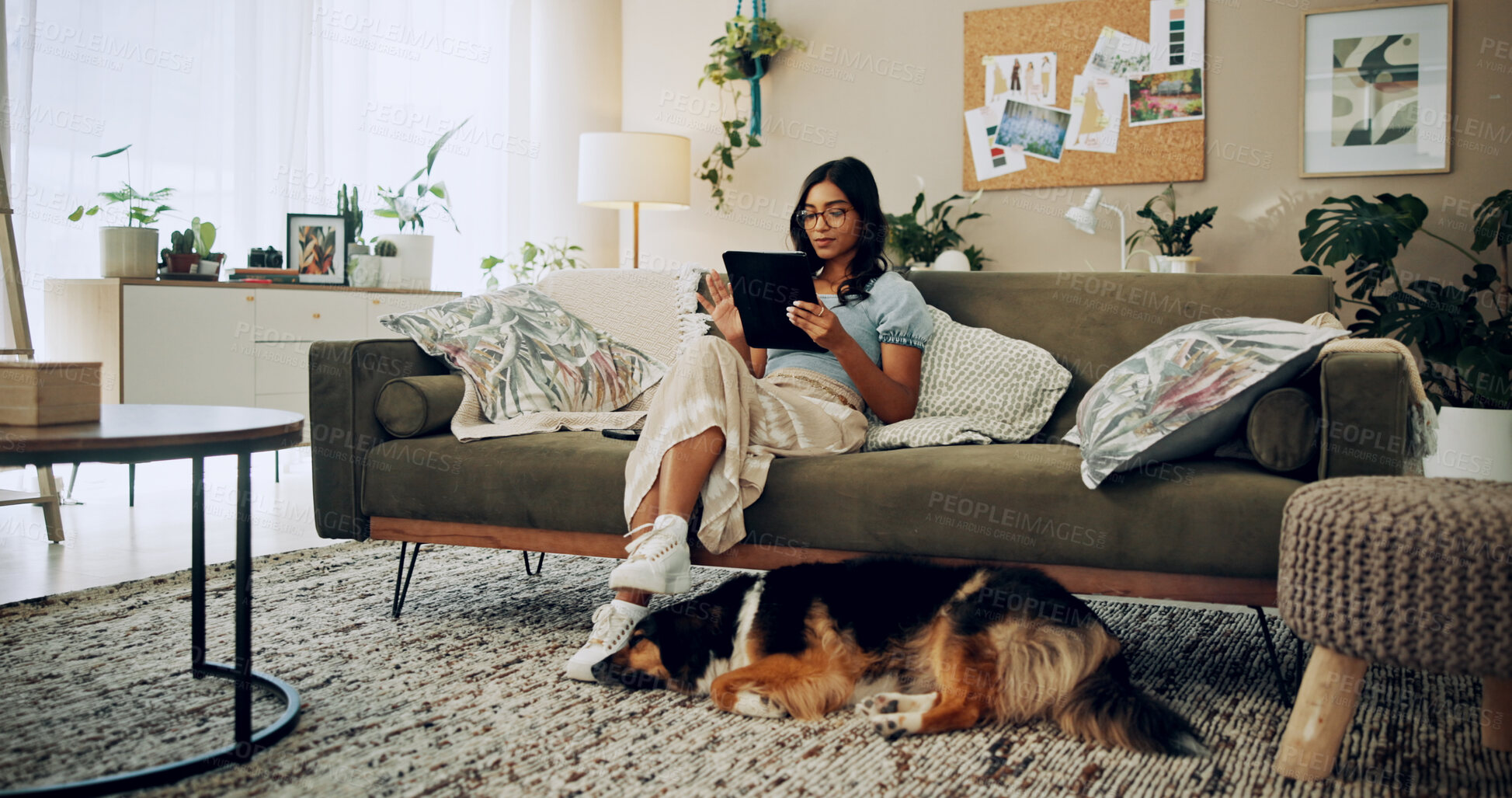 Buy stock photo Woman, home and dog with tablet, reading and online for bonding with love, companion and peace. Female person, tech and pet care for emotional support in living room for happiness, streaming or relax