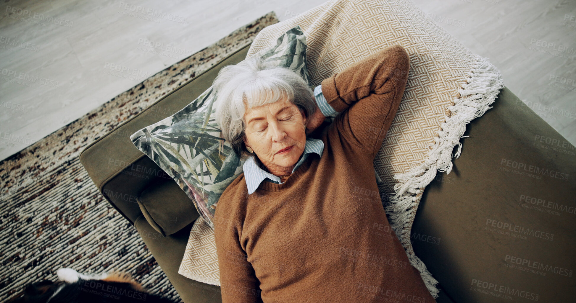 Buy stock photo Above, sleeping and tired with old woman on sofa with dog for break, dreaming and relax. Fatigue, wellness and animal care with senior person in living room at home for retirement, comfort and rest