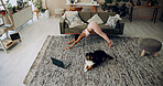 Laptop, girl and yoga with pet in home for stretching, online class and fitness lesson on floor. Yogi, person or virtual exercise video for downward dog instructions, holistic wellness or flexibility