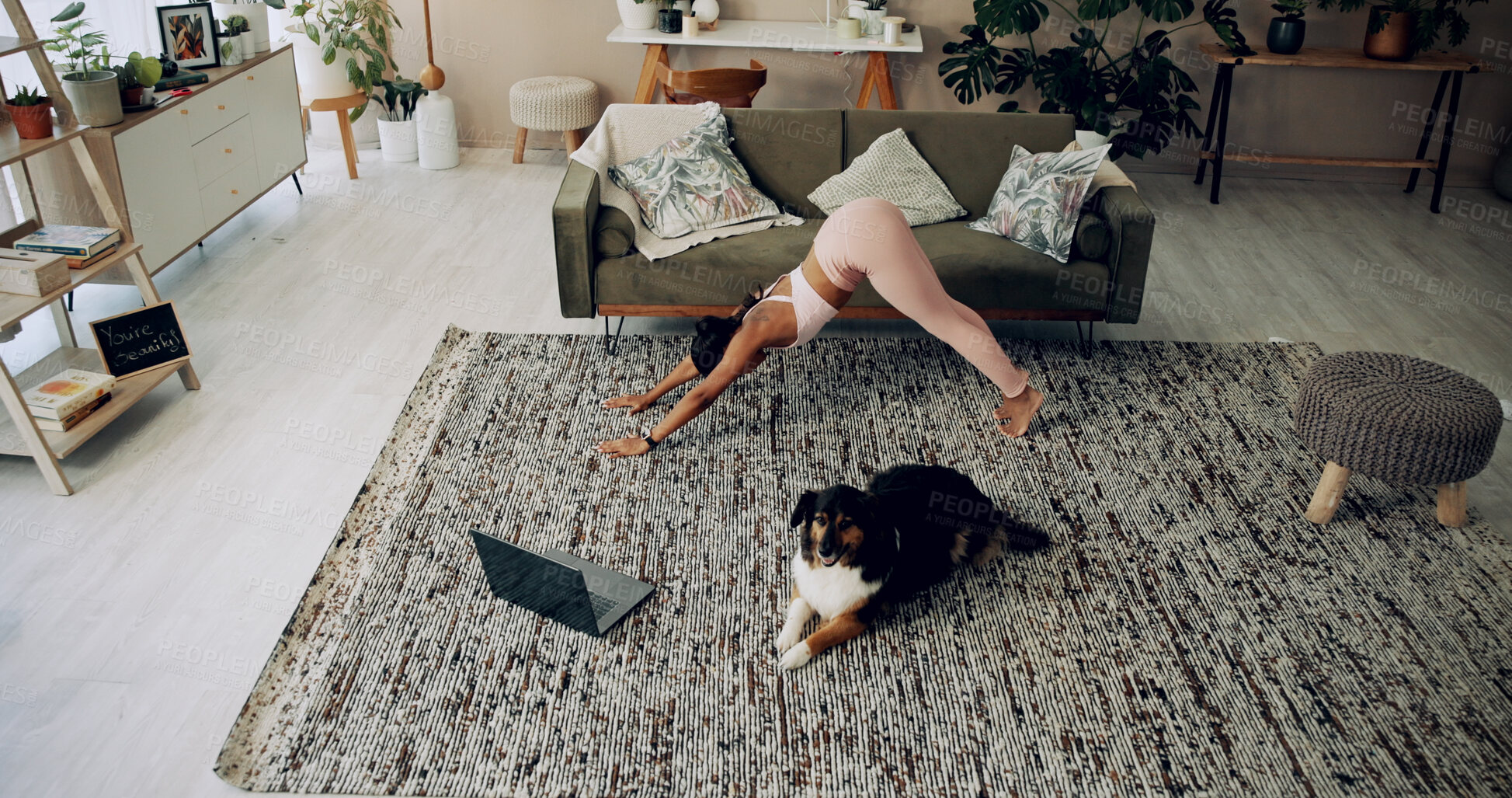 Buy stock photo Laptop, girl and yoga with pet in home for stretching, online class and fitness lesson on floor. Yogi, person or virtual exercise video for downward dog instructions, holistic wellness or flexibility