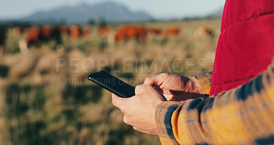 Buy stock photo Man, hands and farmer with phone on field, agriculture and chat to client for organic dairy deal. Male person, outdoor typing and online for production tips on sustainability, cattle and plan export