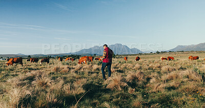 Buy stock photo Agriculture, farmer and tablet with cows in field for asset tracking, resource management and inventory. Countryside, man and livestock with space for dairy production, agro business or data analysis