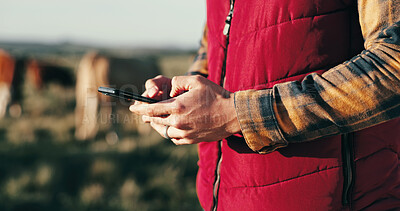 Buy stock photo Outdoor, person and farmer on smartphone with livestock on website for agriculture funding or loan application. Closeup, entrepreneur and online or internet connection for communication or networking