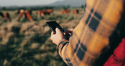 Buy stock photo Man, hands and farmer with phone in nature, agriculture and chat to client for organic beef deal. Male person, outdoor typing and online for production tips on sustainability, cattle and plan export