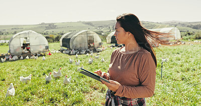 Buy stock photo Woman, farmer and tablet for thinking on chickens, agriculture and chat to client for organic deal. Female person, outdoor and online for sustainable production ideas, animals and plan export on app