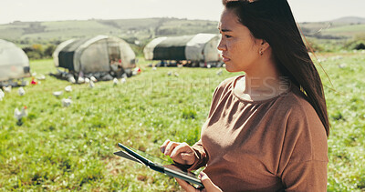 Buy stock photo Woman, farmer and tablet on chicken farm, agriculture and chat to client for organic dairy deal. Female person, outdoor and online for thinking on sustainable production, animals and plan export