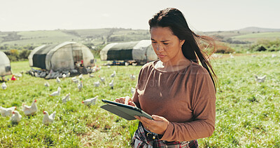 Buy stock photo Woman, farmer and tablet on chicken farm, countryside and chat to client for organic dairy deal. Female person, outdoor and online for thinking on sustainable agriculture, animals and plan export