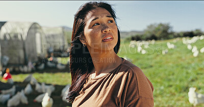 Buy stock photo Woman, farmer thinking and chicken for livestock farming, producing and distribution. Female person, business and entrepreneur with ideas or vision for career, agriculture and poultry industry