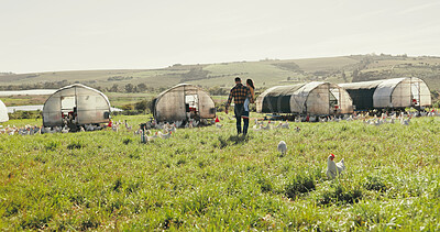 Buy stock photo Agriculture, father and girl on chicken farm for holiday, adventure and vacation in countryside. Family, farming and back of dad with child and livestock for poultry, agro business and produce