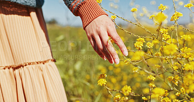 Buy stock photo Woman, hand and touch flowers at field on holiday, vacation and tourist relax outdoor. Travel, fingers and person with plants in garden, countryside or back on adventure for freedom in nature closeup