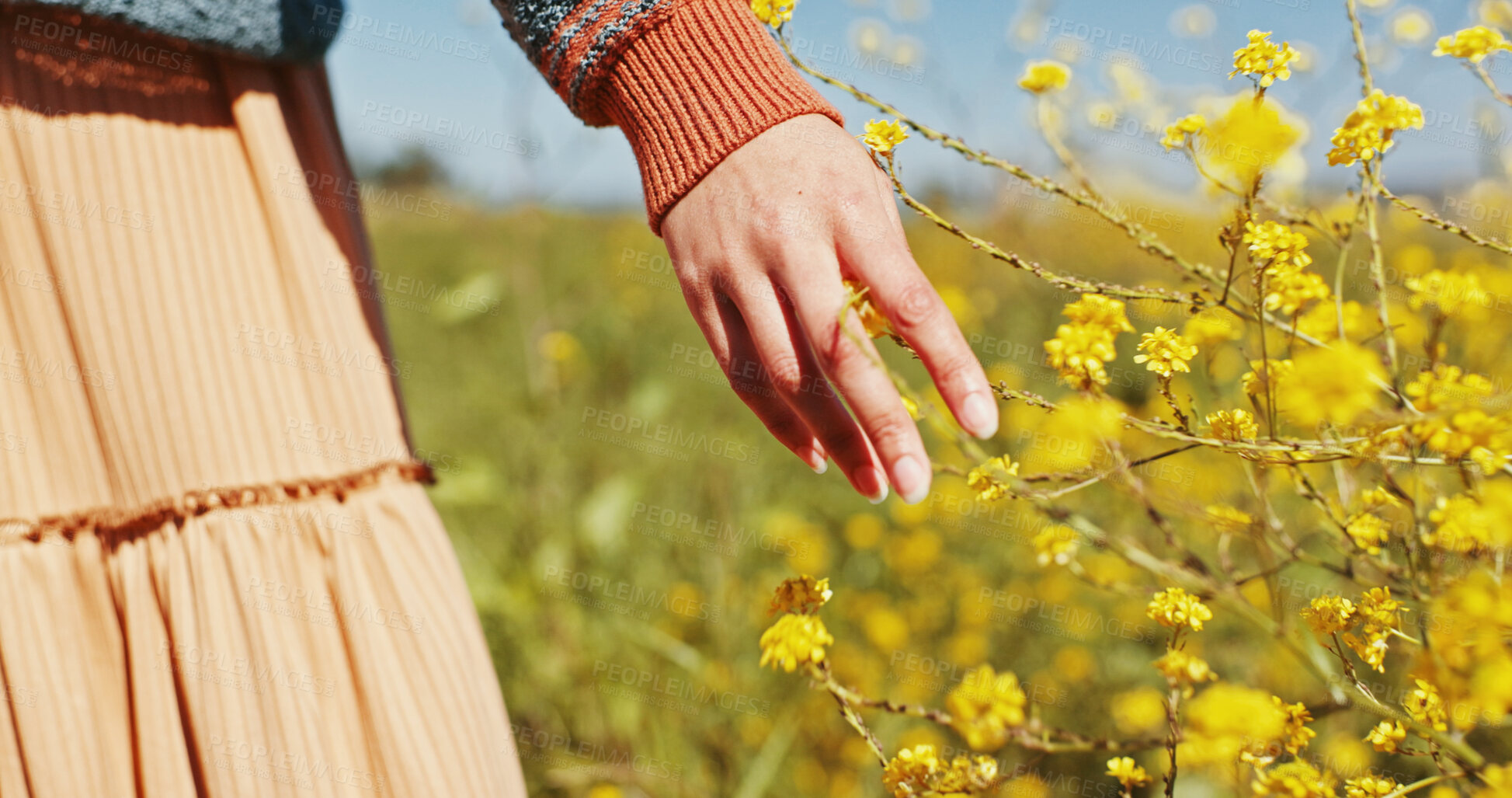 Buy stock photo Woman, hand and touch flowers at field on holiday, vacation and tourist relax outdoor. Travel, fingers and person with plants in garden, countryside or back on adventure for freedom in nature closeup